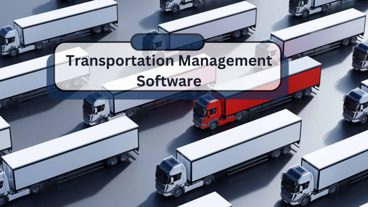 Transportation Management Software: How It Optimises Logistics?
